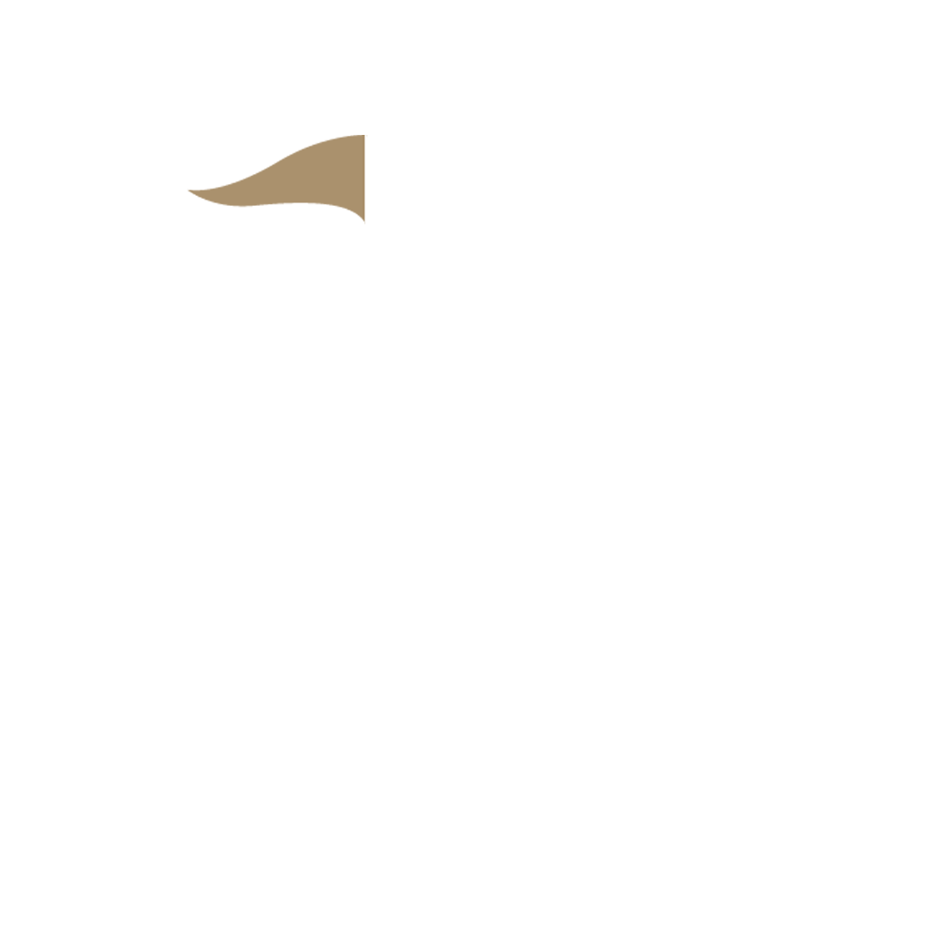 Asset 3